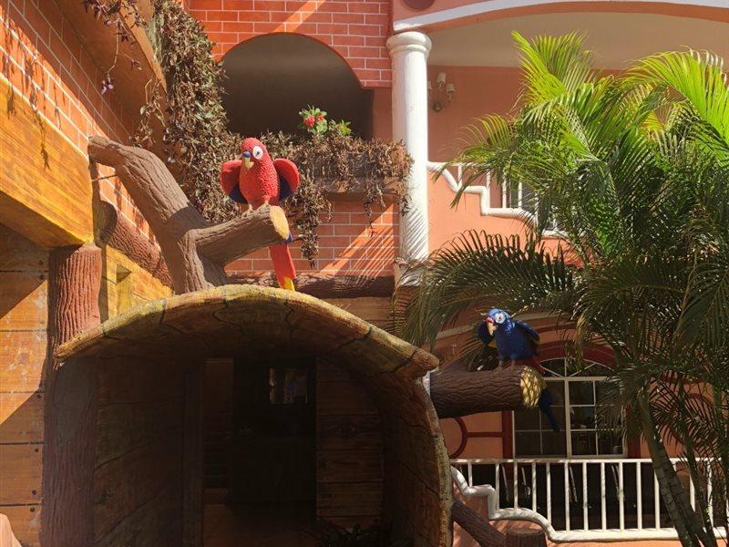 Hotel Residencia Del Sol Γουατεμάλα Εξωτερικό φωτογραφία